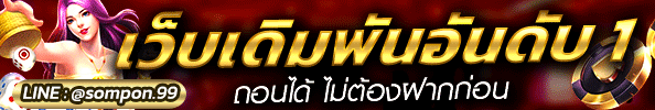 ผู้สนับสนุน
