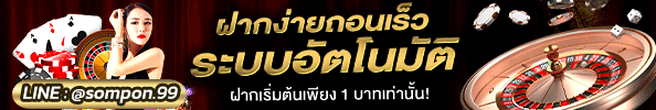 ผู้สนับสนุน