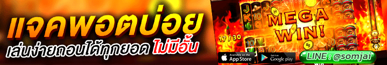 ผู้สนับสนุน